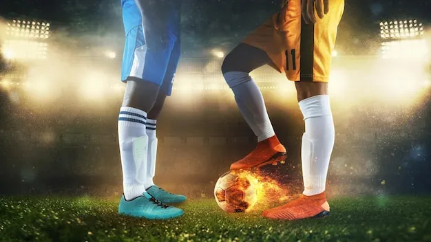 用户在手机上使用平博体育APP